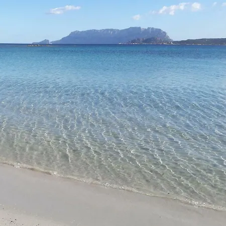 Attico Rosa Dei Venti Olbia